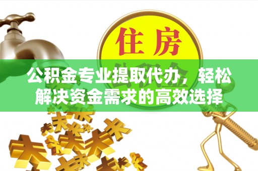中心公积金专业提取代办，轻松解决资金需求的高效选择