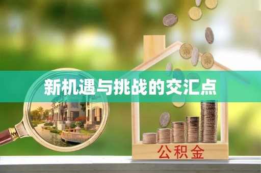 中心新机遇与挑战的交汇点