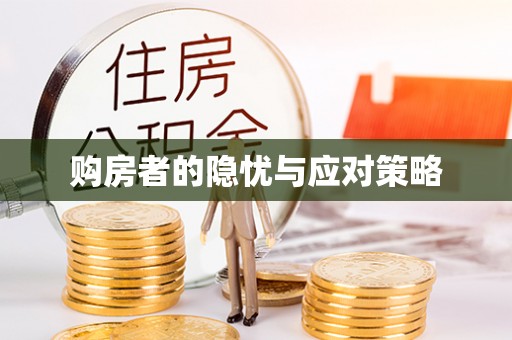 中心购房者的隐忧与应对策略